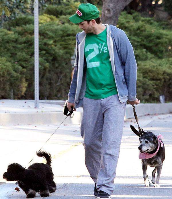  Ashton Kutcher'ın köpek turu iddiaları güçlendirdi