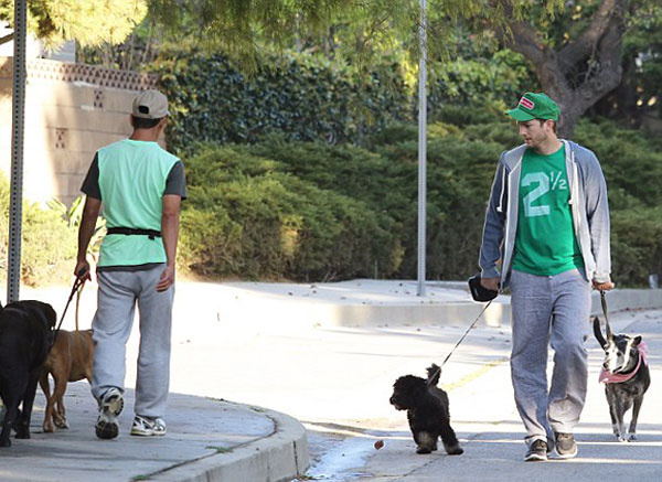  Ashton Kutcher'ın köpek turu iddiaları güçlendirdi