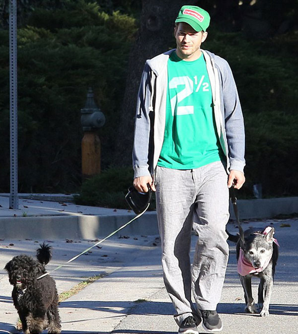  Ashton Kutcher'ın köpek turu iddiaları güçlendirdi