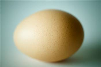 Kahverengi Yumurta mı, Beyaz Yumurta mı?