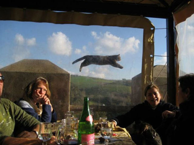 Fotoğrafların istenmeyen kahramanları