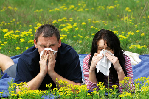 Mevsimsel alerjilere doğal çözümler var mı?