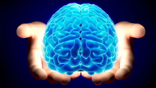 İnsan beyninin en iyi çalıştığı yaş hangisi?