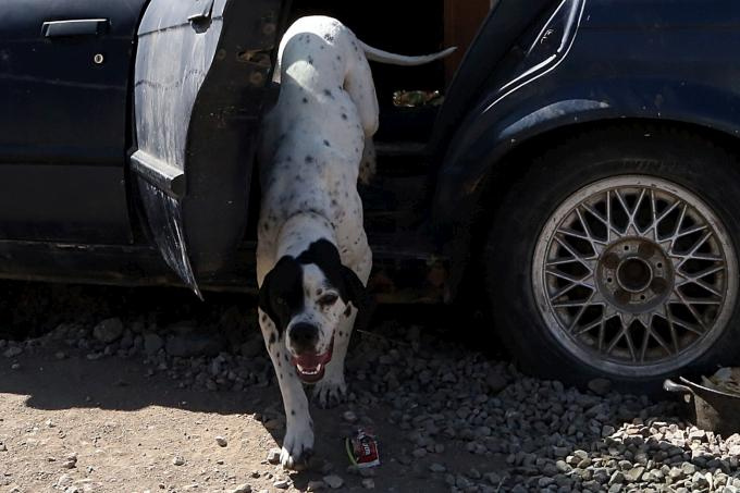 Eski otomobilden bakın ne yaptı  