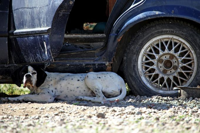 Eski otomobilden bakın ne yaptı  