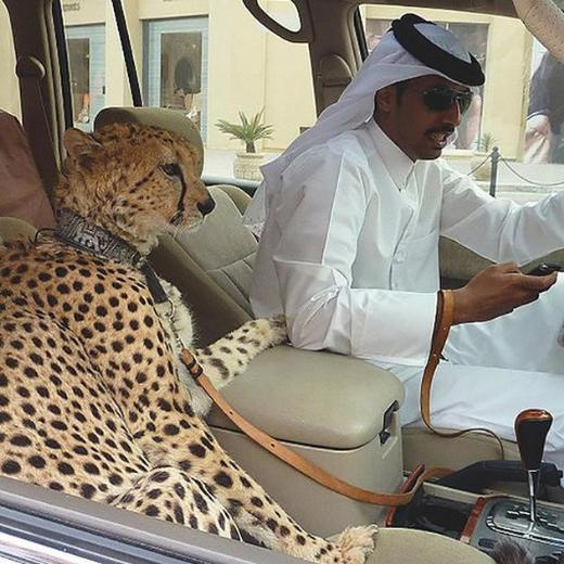 Dubai'den sıradışı fotoğraflar