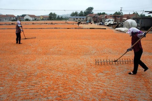 Bunun da sahtesini yaptı!