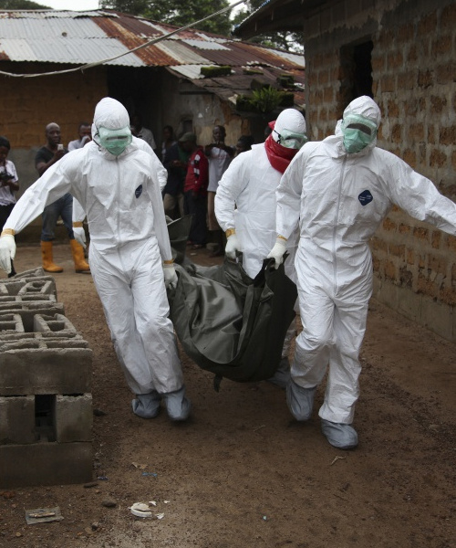 Mers virüsü hakkında bilinmeyenler