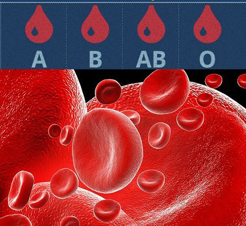 Kan gruplarına göre kişilik özellikleri