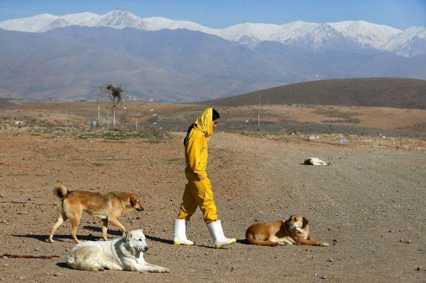 Bu ülkede köpek beslemek kötü görülüyor!