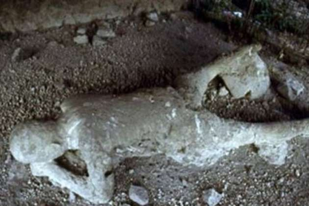 Taş kesilen bir kavim: Pompei halkı
