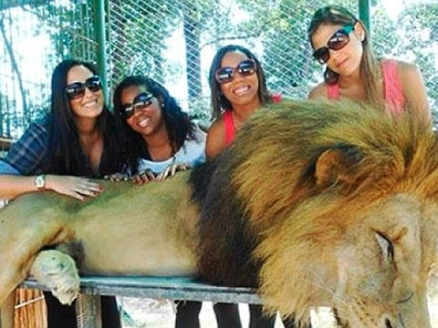 Aslanlarla 'selfie' için uyuşturuyorlar!