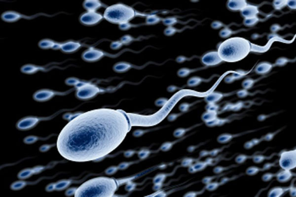 Deriden sperm ve yumurta üretildi