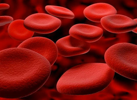 Hangi kan grubu nasıl beslenmeli