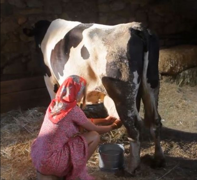 Vahşi cazibe İvana Sert süt sağarsa...