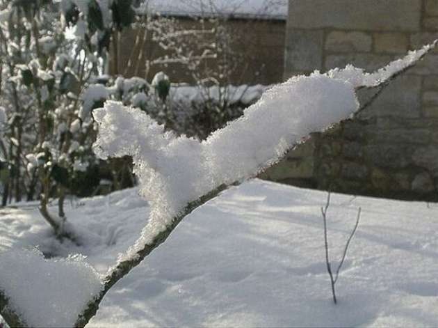 Günün en çok tıklanan fotoğrafları