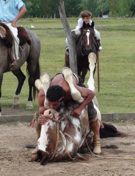 Günün en sevilen fotoğrafları