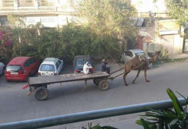 Bugünün en çok paylaşılan kareleri