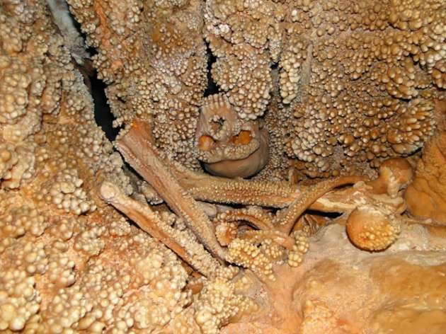 187 bin yaşındaki iskelet