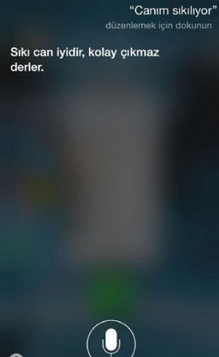 Türkçe Siri'den seçmeler...