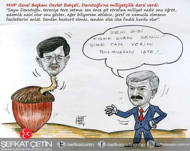 MHP'den karikatürlü seçim kampanyası