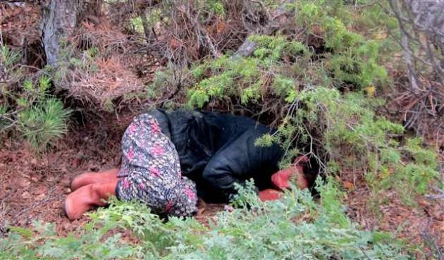 Ormanda kaybolan hamile kadın bulundu