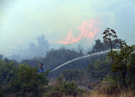 Bodrum'daki yangın villalara sıçradı