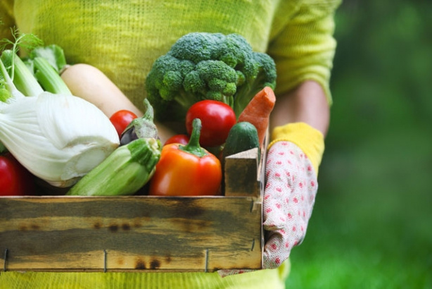 Bir haftada 4,5 kilo verdiren diyet