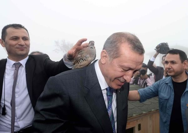 Erdoğan'ın zor anları Kafasına keklik kondu