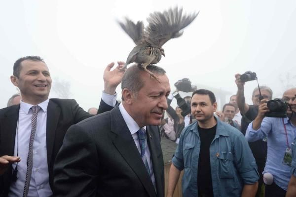 Erdoğan'ın zor anları Kafasına keklik kondu