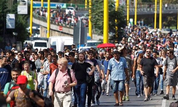 Sığınmacılar yürüyerek Avusturya'ya gidiyor