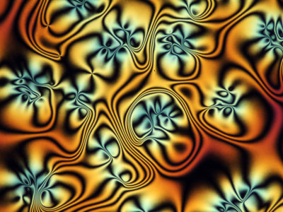 Mikroskopla çekilen fotoğraflar
