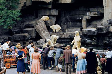 National Geographic'in enleri