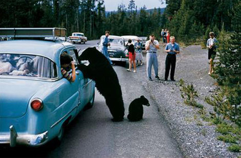 National Geographic'in enleri