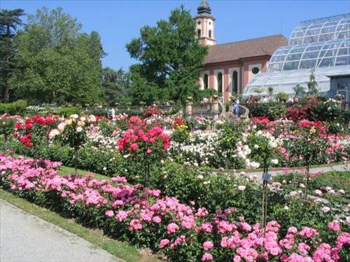 Çiçek adası Mainau