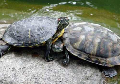 İşte haftanın en eğlenceli kareleri