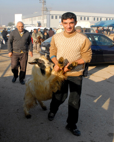 Kurban manzaraları