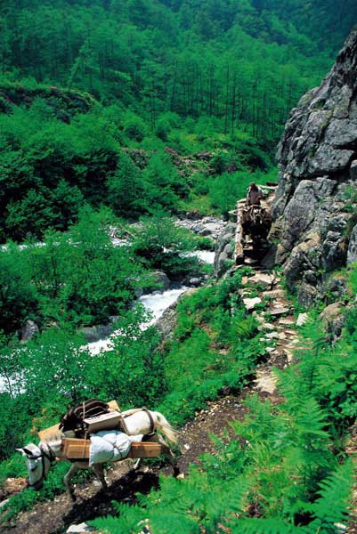 Karadeniz'in saklı cennetleri