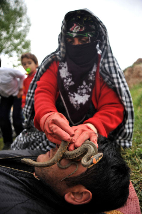 Bu yılanlar her derde deva