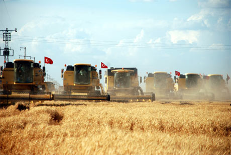 Türkiye'nin en büyük tarım deposu