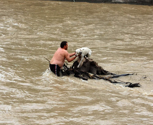 Sele kapılan köpeği böyle kurtardı