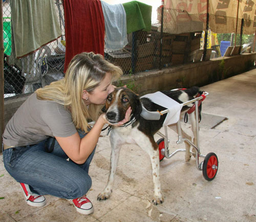 Bu köpeğe hayat verdi!