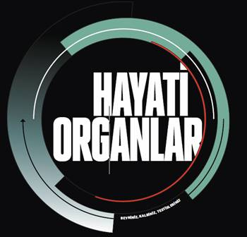 Hayati organlar - Beyin