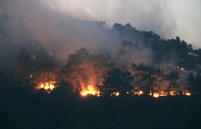 Yangın Bergama'da köyleri boşalttı