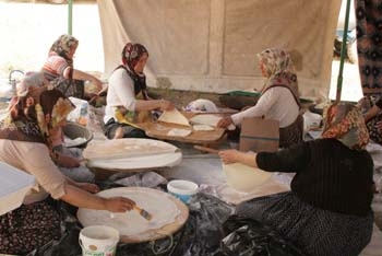 Orhaniye Mahallesi Karadut Festivali 