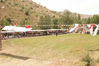 Orhaniye Mahallesi Karadut Festivali 