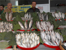 Silivri'de başkan balıkçıları unutmadı!