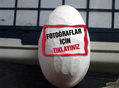 Bu yumurtada Allah mı yazıyor? - Resim: 0
