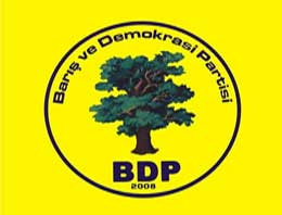 BDP’li başkanvekiline tutuklama