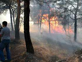 Ermenek'te 5 hektar çam yandı 